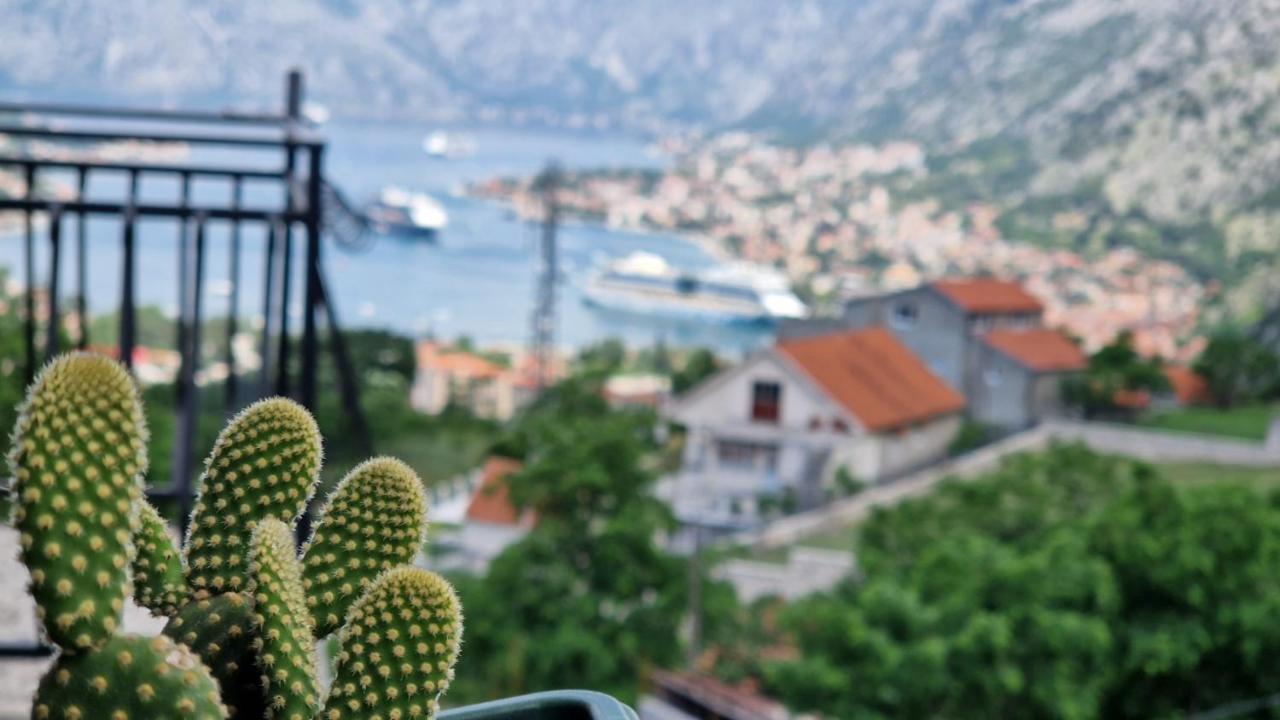 コトルAnastasija 2アパートメント エクステリア 写真